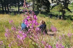 Charlotte-takes-some-time-to-enjoy-the-wildflowers-on-Uludag-768x1024